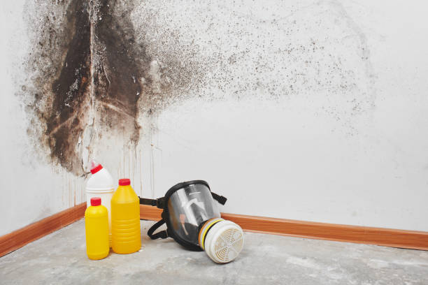 Best Emergency Mold Removal  in Stow, OH