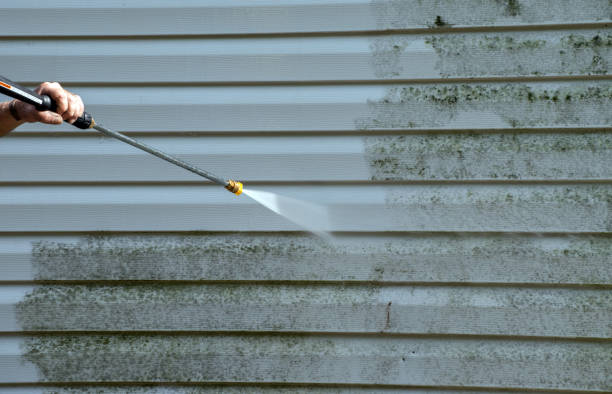 Attic Mold Removal in Stow, OH